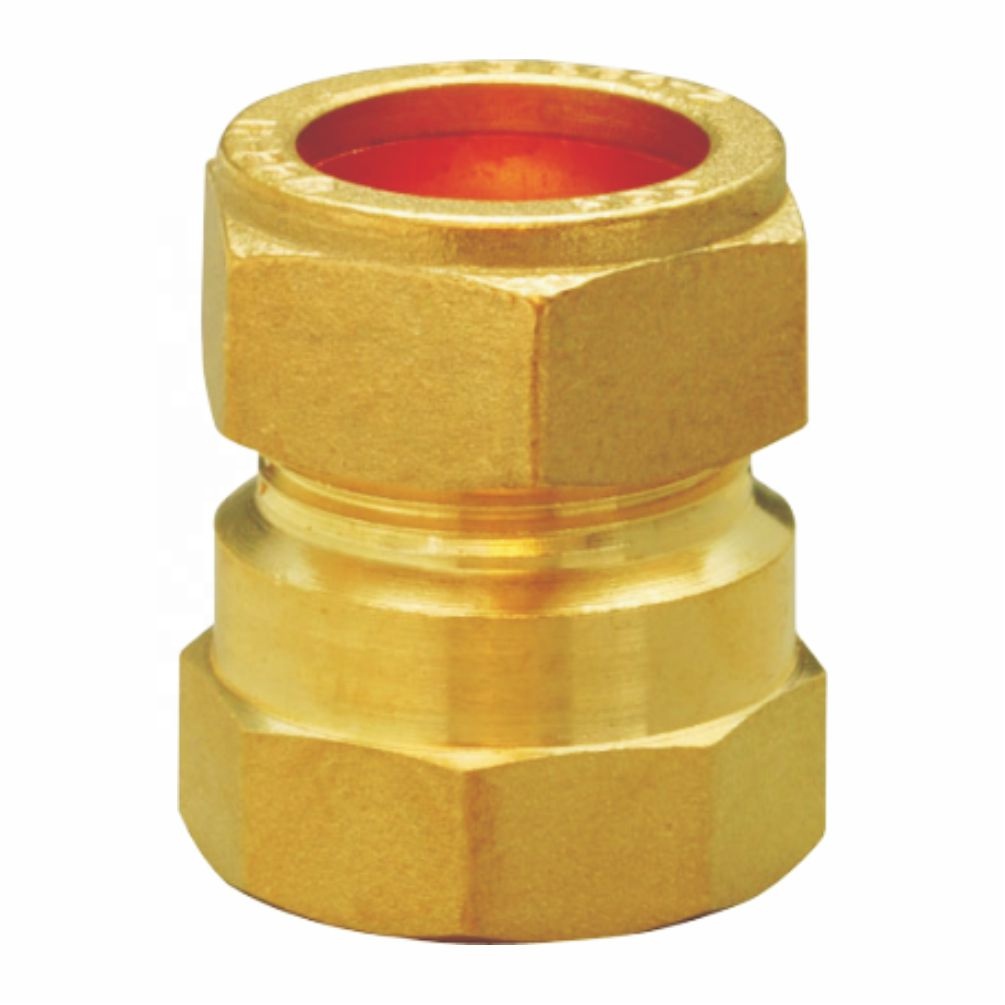 Female Connector Brass Pipe Fittings Female and Coupling Unit